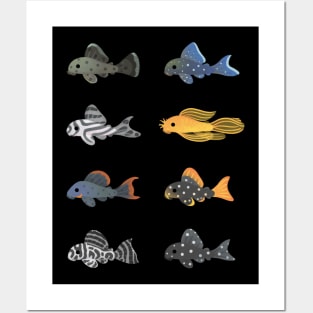 Pleco! Posters and Art